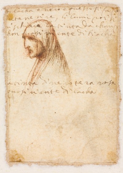 Borstbeeld Profiel van een Oude Vrouw verso door Dosso Dossi