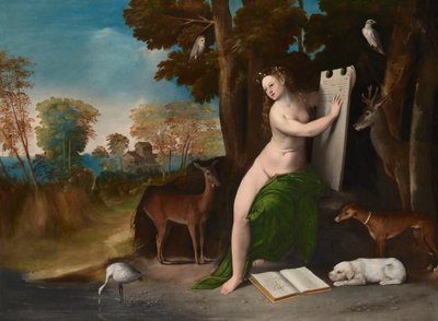  door Dosso Dossi