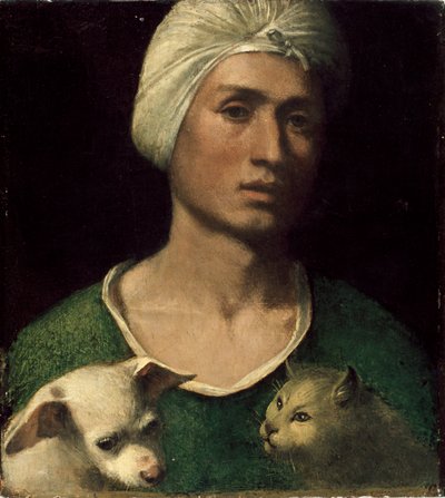 Portret van een jonge man met een hond en een kat, ca. 1530 door Dosso Dossi