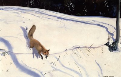 Vos springend van een besneeuwde oever door Douglas Anderson