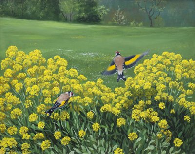 Goudvinken, 2000 (olieverf op board) door Douglas Anderson