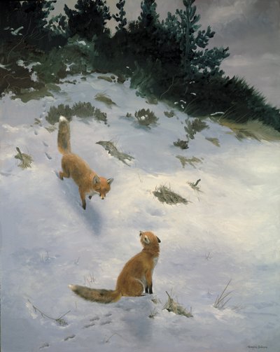 Liefde op het eerste gezicht, Vossen in de sneeuw door Douglas Anderson