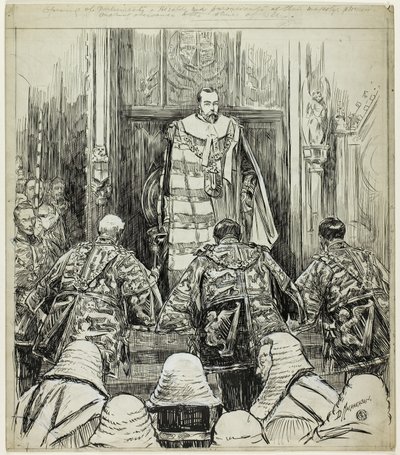 Opening van het parlement onder Edward VII door Douglas Macpherson