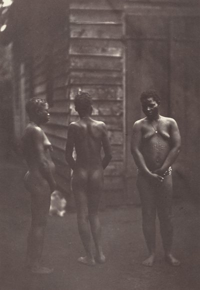 Drie Malagassische vrouwen (plaat 30),1863 (foto) door Désiré Charnay