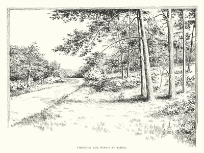 Door de bossen bij Esher door Duncan Moul