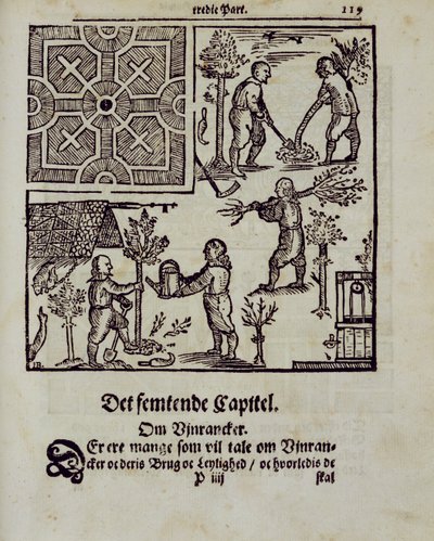Bomen planten, uit De Nederlandse Tuinman door Johann van der Groen, gepubliceerd 1699 door Dutch School