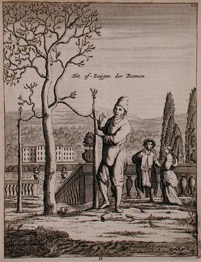 Een leiboom trainen, uit 