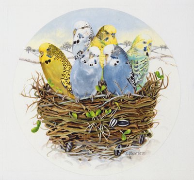 Parkieten in een Nest door E.B. Watts