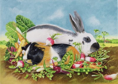 Konijn en Cavia door E.B. Watts