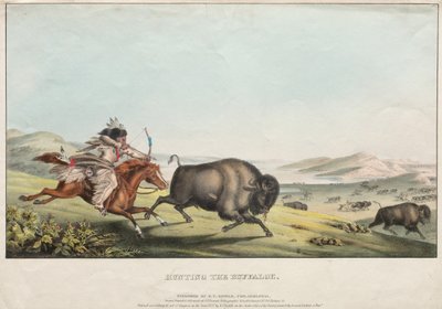 De buffeljacht door E. C. Biddle