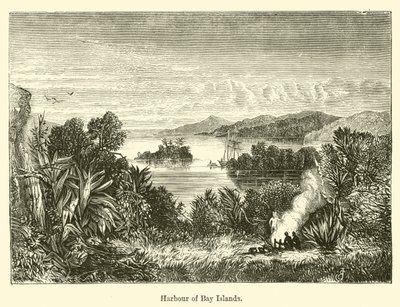 Haven van Bay Islands door E. Jennings