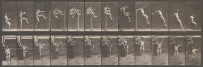 Dierlijke Locomotie. Een Elektro-Fotografisch Onderzoek van Opeenvolgende Fasen van Dierlijke..., 1880s. door Eadweard Muybridge