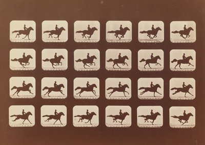 Paarden. Rennen. Phyrne L. Nr. 40, 1879 door Eadweard Muybridge