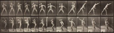 Dierenbeweging, Plaat 319 door Eadweard Muybridge