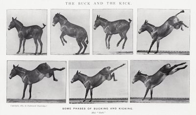 Eadweard Muybridge: De bok en de schop door Eadweard Muybridge