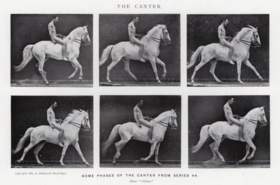 Eadweard Muybridge: De Draf door Eadweard Muybridge