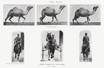 De rack door Eadweard Muybridge