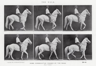 Eadweard Muybridge: De wandeling (zwart-wit foto) door Eadweard Muybridge