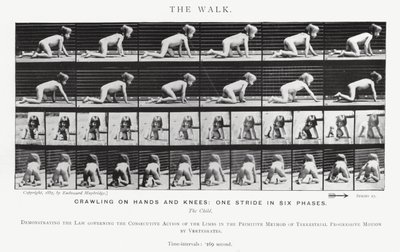 Eadweard Muybridge: De wandeling (zwart-wit foto) door Eadweard Muybridge