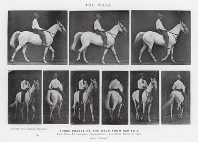 Eadweard Muybridge: De wandeling (zw/w foto) door Eadweard Muybridge