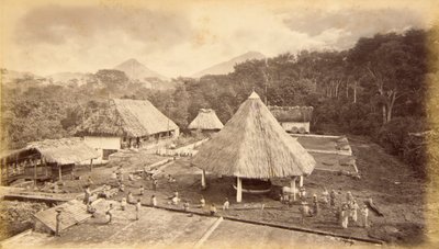 Hacienda William Nelson, San Isidro, Guatemala door Eadweard Muybridge