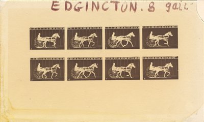 Internegatief voor Paarden. Draven. Abe Edgington. Nr. 28 door Eadweard Muybridge