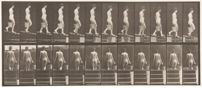 Plaat 120. Helling afdalen, emmer water in rechterhand, 1872-1885 door Eadweard Muybridge