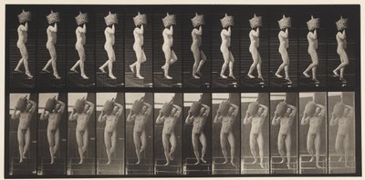 Trap Af Dalen Volle Demijohn op Schouder, 1872-1885 door Eadweard Muybridge