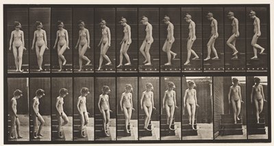 Plaat 137. Trap aflopen, omdraaien door Eadweard Muybridge