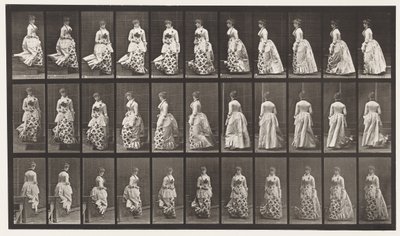 Trap Af Dalen en Draaien, 1885 door Eadweard Muybridge