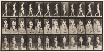 Plaat 13. Wandelen door Eadweard Muybridge