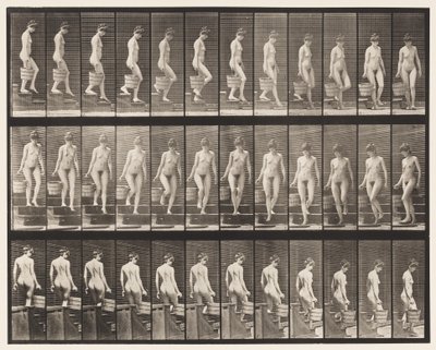 Plaat 145. Trap aflopen; draaien, emmer water in rechterhand, 1872-1885 door Eadweard Muybridge