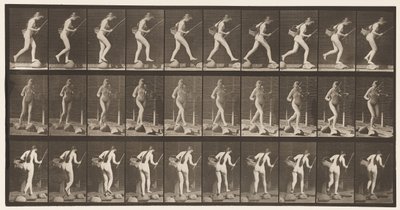 Plaat 177. Beek oversteken op stapstenen met visstok en mand door Eadweard Muybridge