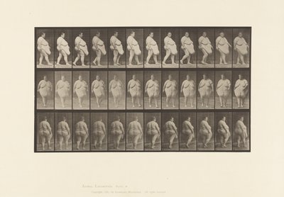 Plaat 19. Wandelen, Beginnen met Omdraaien door Eadweard Muybridge