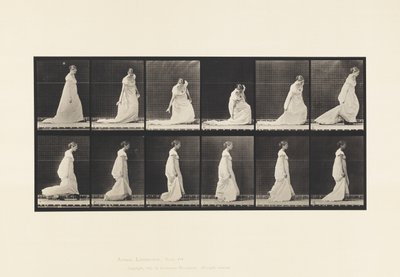 Plaat 207. Bukken en tillen trein, 1885 door Eadweard Muybridge