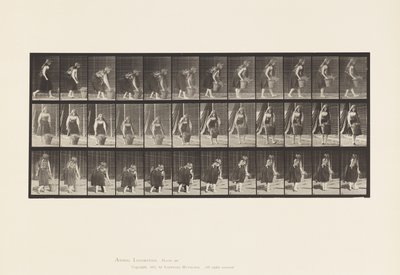 Bukking, Tillen en Dragen van 30 lb Mand, 1885 door Eadweard Muybridge