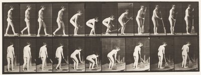 Plaat 219. Bukken en Bezem Optillen en Vegen door Eadweard Muybridge