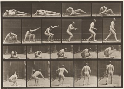 Plaat 258. Opstaan van de grond en weglopen door Eadweard Muybridge