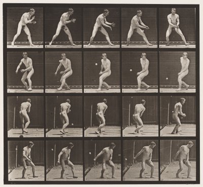 Plaat 288. Honkbal; Fout door Eadweard Muybridge
