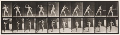 Plaat 294. Lawn Tennis; Serveren door Eadweard Muybridge