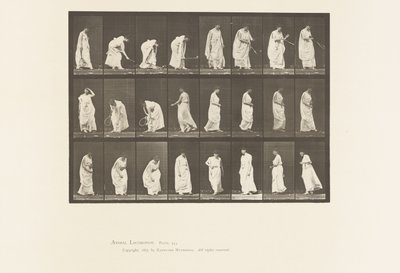 Plaat 299. Spelen met een Bal door Eadweard Muybridge