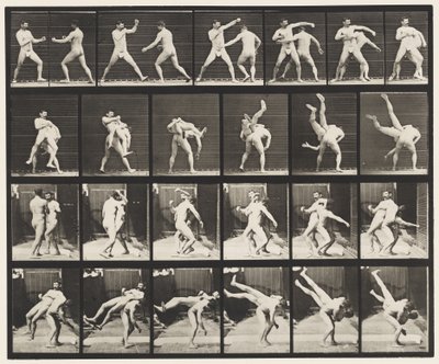 Plaat 332. Boksen; Kruisworsteling door Eadweard Muybridge