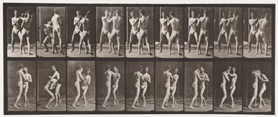 Boksen; Open Hand door Eadweard Muybridge