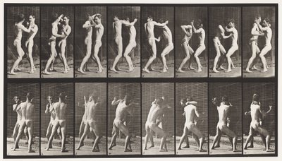 Plaat 341. Boksen; Open Hand door Eadweard Muybridge