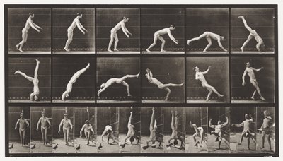 Plaat 365. Hoofdsprong, Een Vliegende Duif Stoort door Eadweard Muybridge