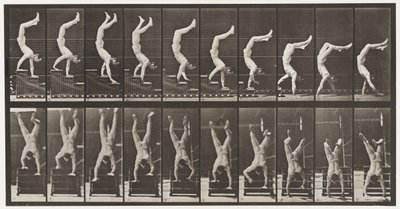 Plaat 368. Acrobat, trappen afdalen op handen door Eadweard Muybridge