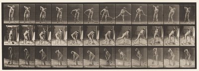 Plaat 387. Boer, Gebruikmakend van een Lange Steel Schep door Eadweard Muybridge