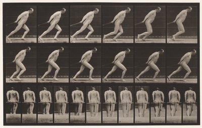 Een tuinwals slepen door Eadweard Muybridge