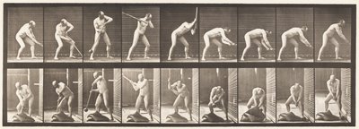 Plaat 396. Met een hamer slaan door Eadweard Muybridge