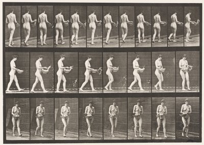 Plaat 43. Wandelen, water uit kom sprenkelen, omdraaien door Eadweard Muybridge